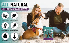 Pet Jerky Factory – ingrédients naturels visibles dans chaque bouchée riches en protéines