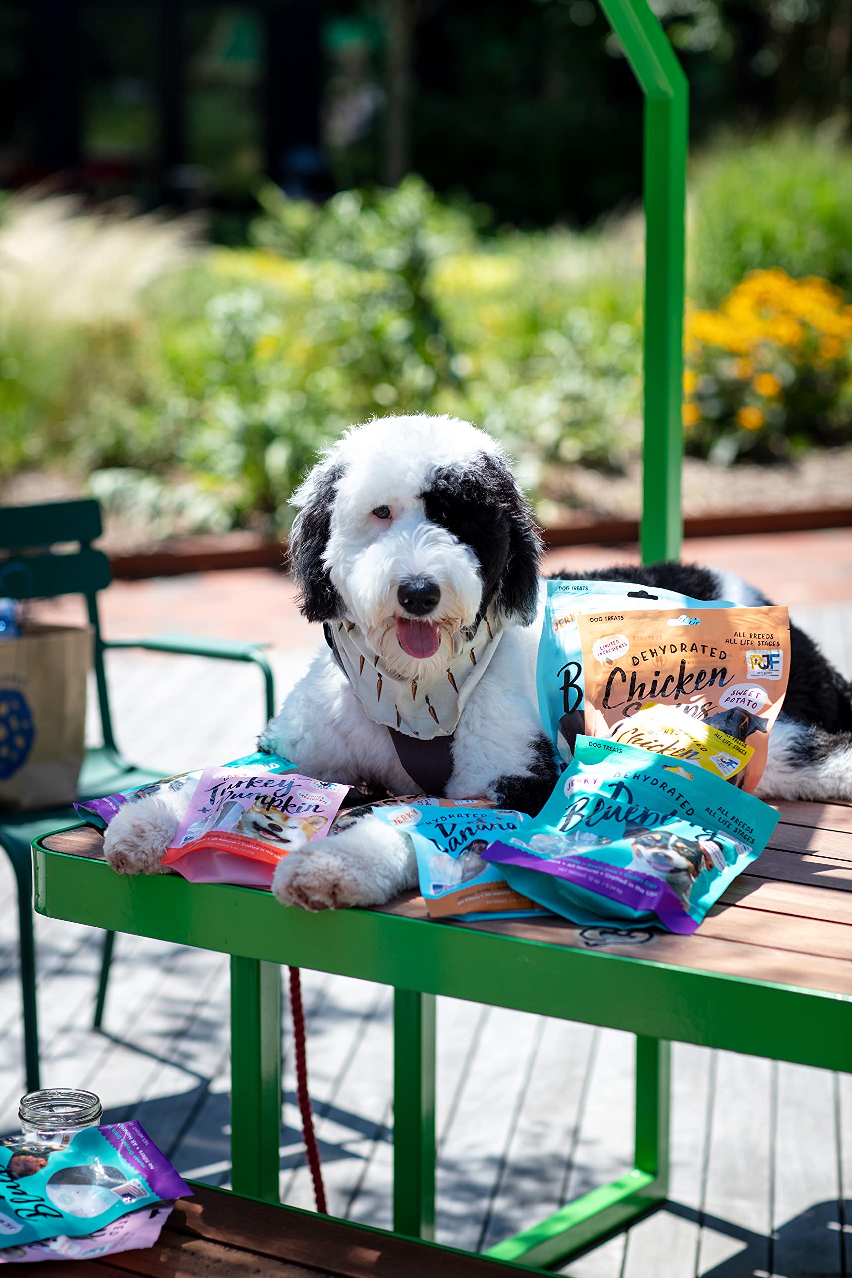 PET JERKY FACTORY – texture douce et saveur authentique pour chien.
