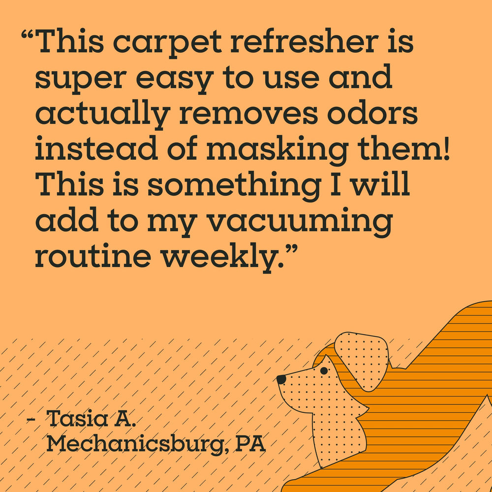 Pet Life Unlimited after-use living room feels refreshed with pet safety in mind.