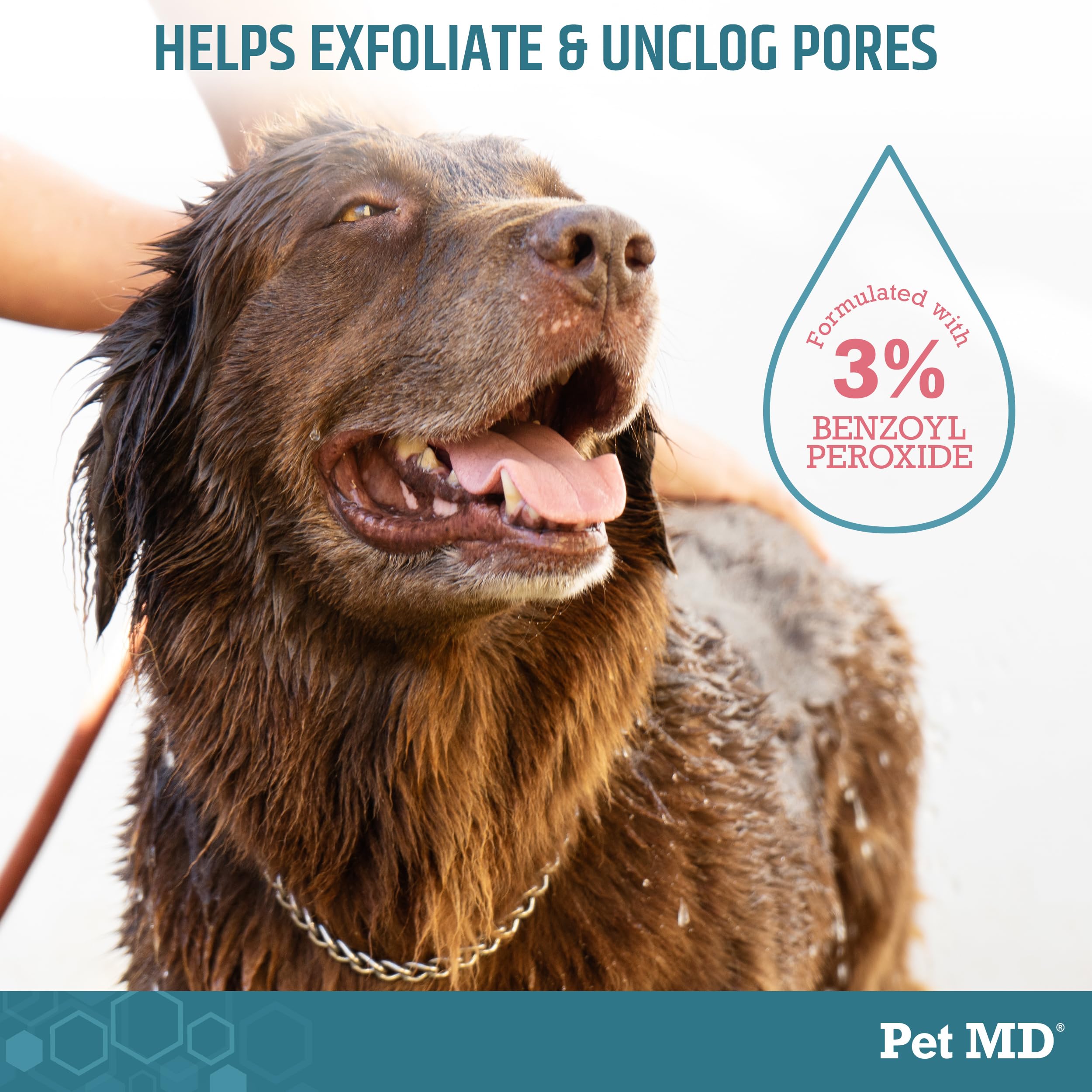 Pet MD Benzoyl Peroxide Medicated Shampoo cat bath with citrus scent for freshness.