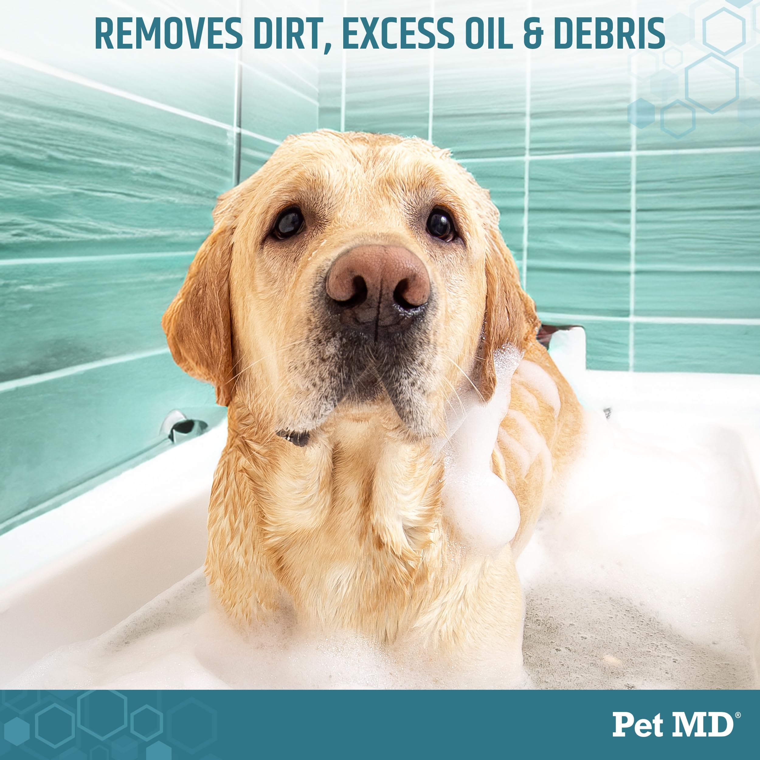 Pet MD Benzoyl Peroxide Medicated Shampoo dog lather shows thorough coat cleansing.