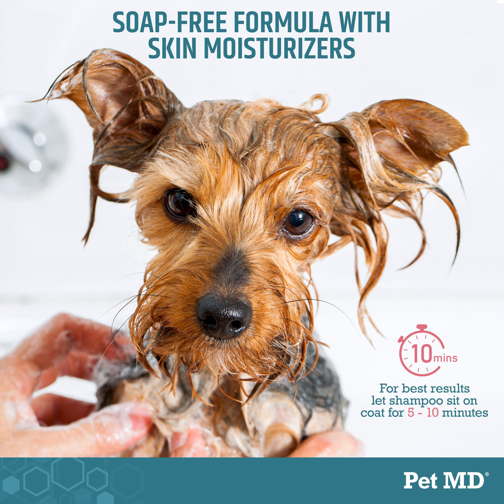 Pet MD Benzoyl Peroxide Medicated Shampoo skin closeup highlights medicated cleaning power.