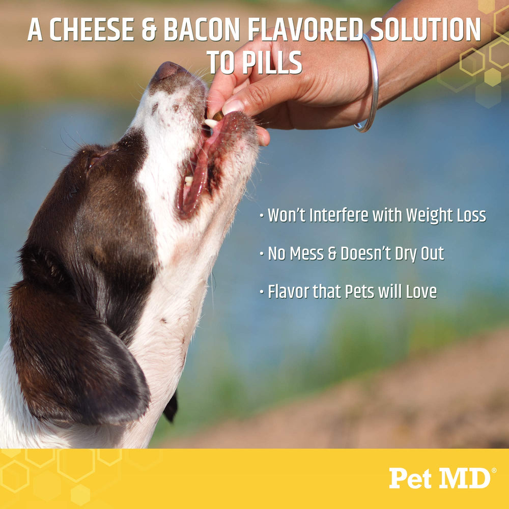 Usage scene showing quick prep of pills with Pet MD Wrap paste.