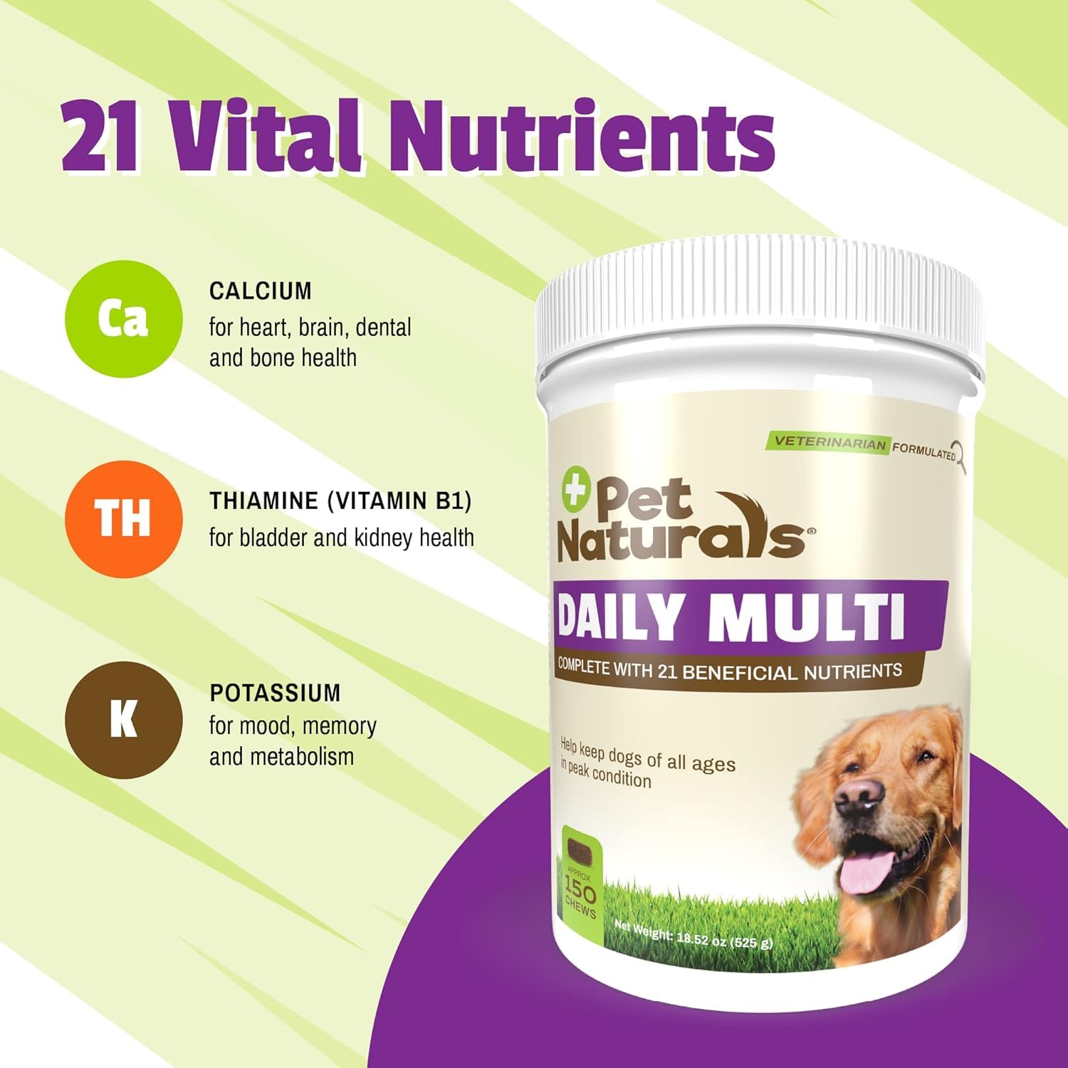 Pet Naturals Daily Multi chews presented as a tasty daily supplement for dogs.
