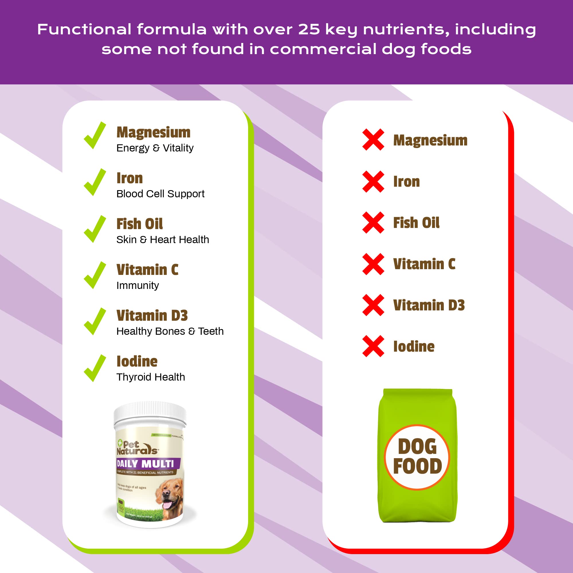 Pet Naturals Daily Multi dog enjoying the treat-like chew during daily routine.