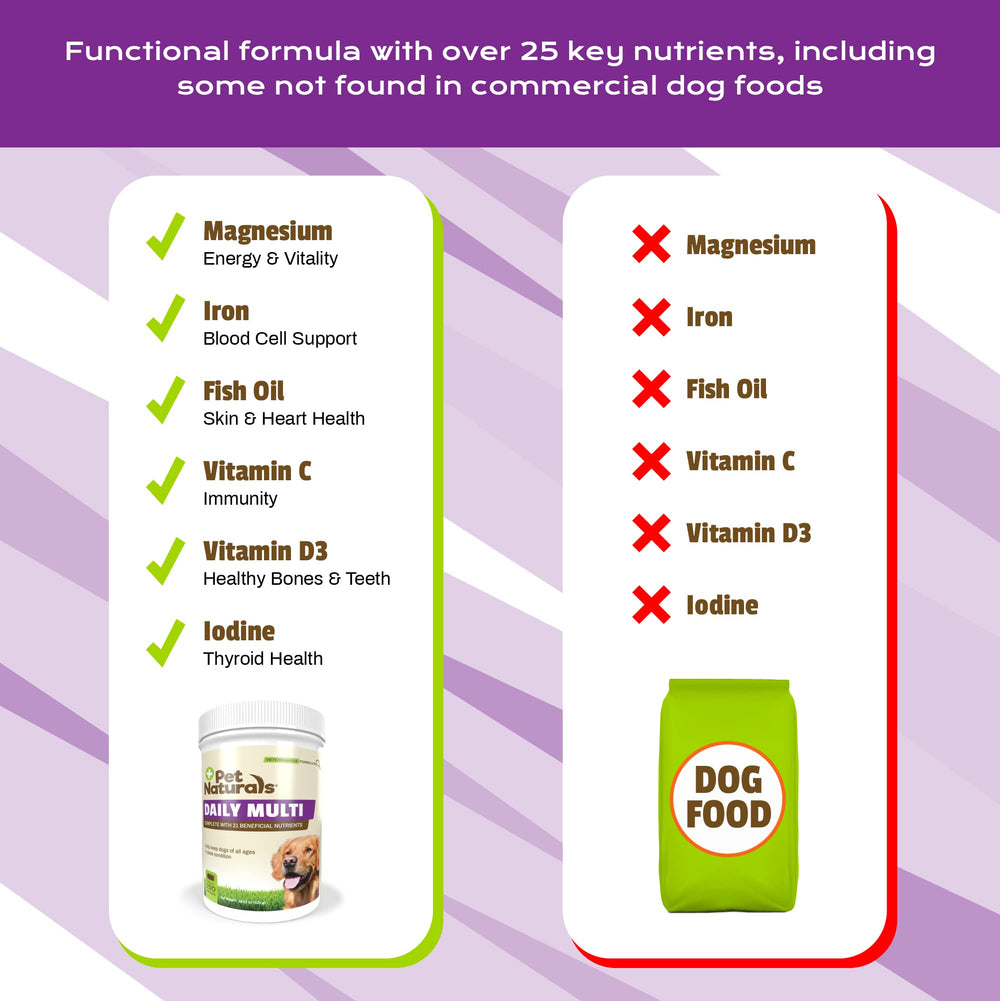 Pet Naturals Daily Multi dog enjoying the treat-like chew during daily routine.