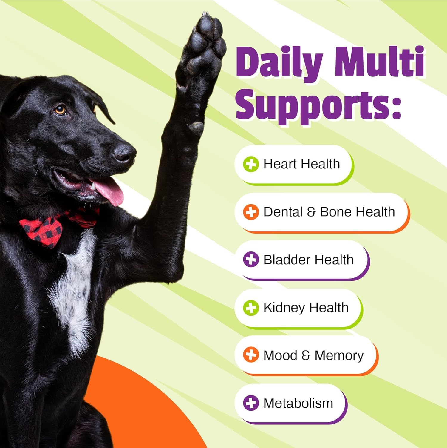 Pet Naturals Daily Multi veggie flavor chews supporting skin and coat health over time.