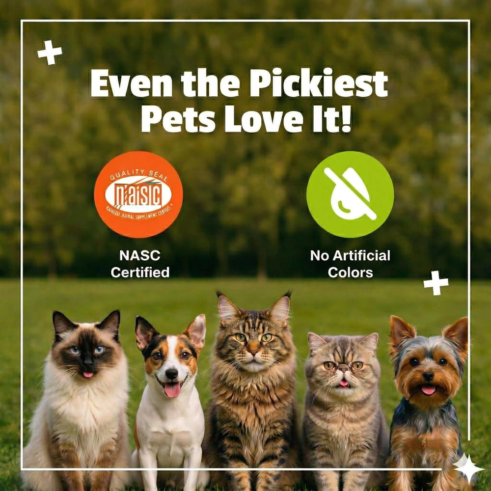 Pet Naturals duck-flavor chews offered to a relaxed cat