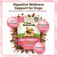 Pet Naturals vet-formulated dog probiotic chews for steady digestion and stool quality