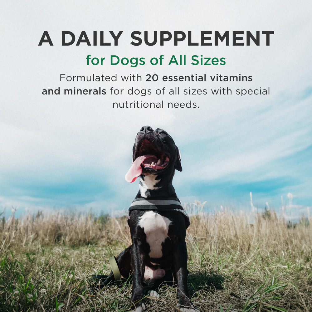 Open bottle view shows easy-to-dispense daily supplements for dogs