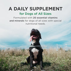 Open bottle view shows easy-to-dispense daily supplements for dogs