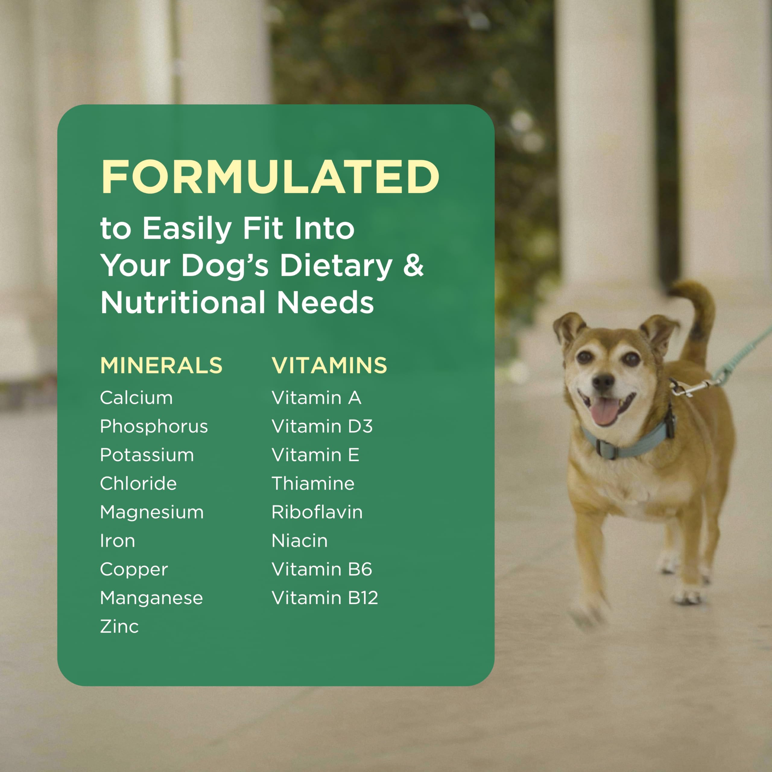 Pet-Tabs support for healthy skin and coat in dogs