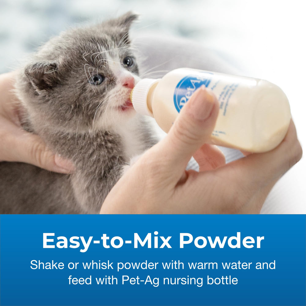 PetAg KMR feeding a kitten shows supportive nutrition.