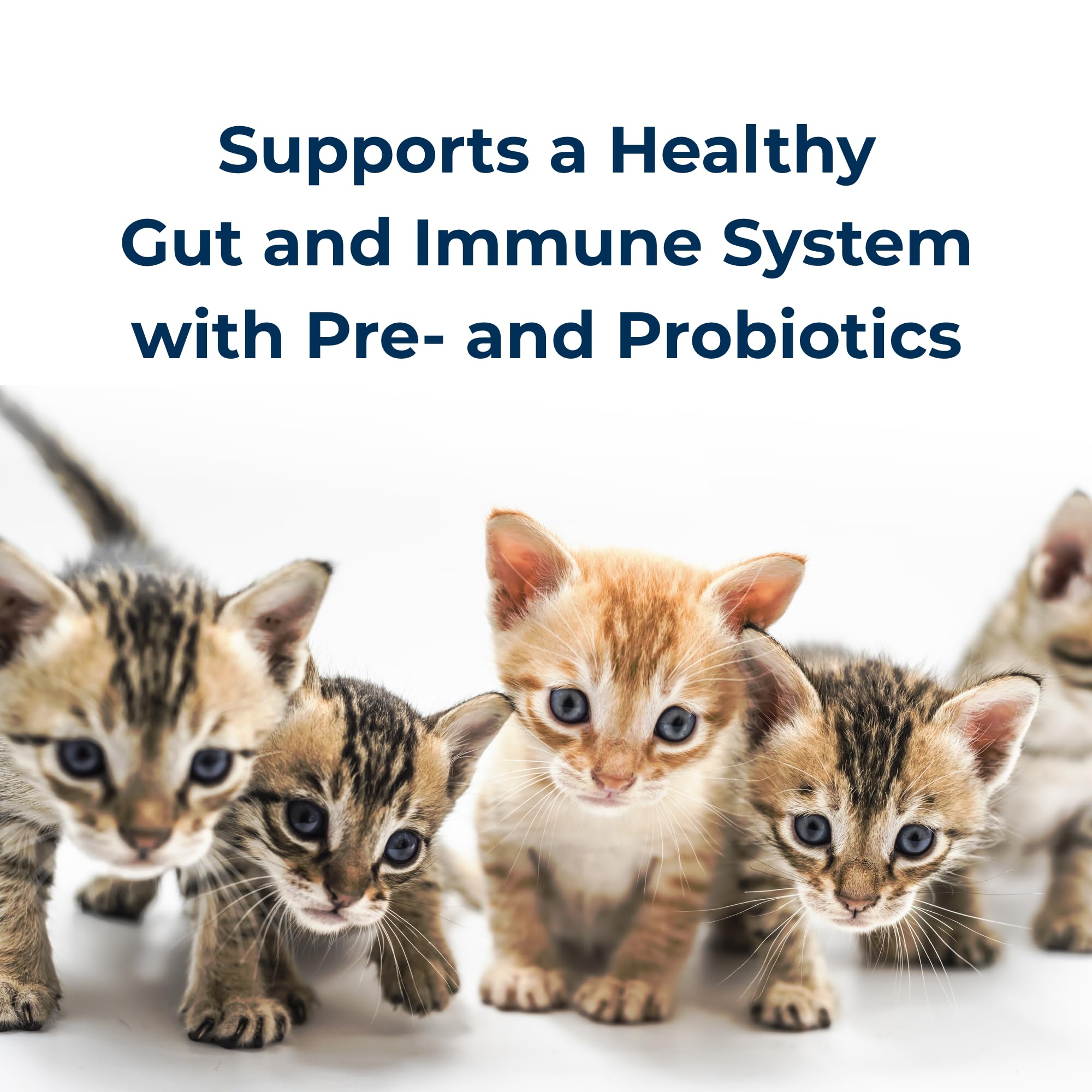 PetAg KMR prebiotics-probiotics label highlights gut-friendly balance.