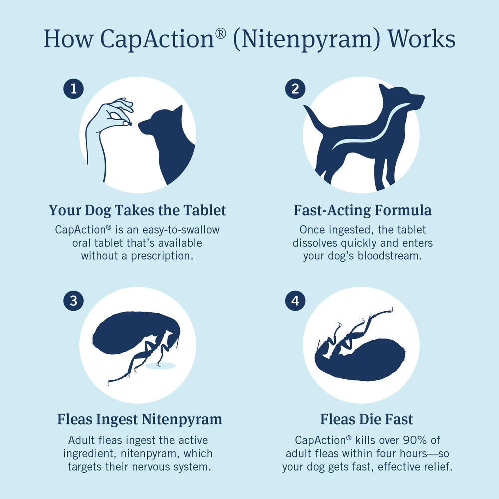 PetArmor CapAction box packaging, ready-to-use flea relief for dogs.