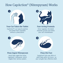 CAPACTION dose pack showing six tablets for cats 2-25 lbs.
