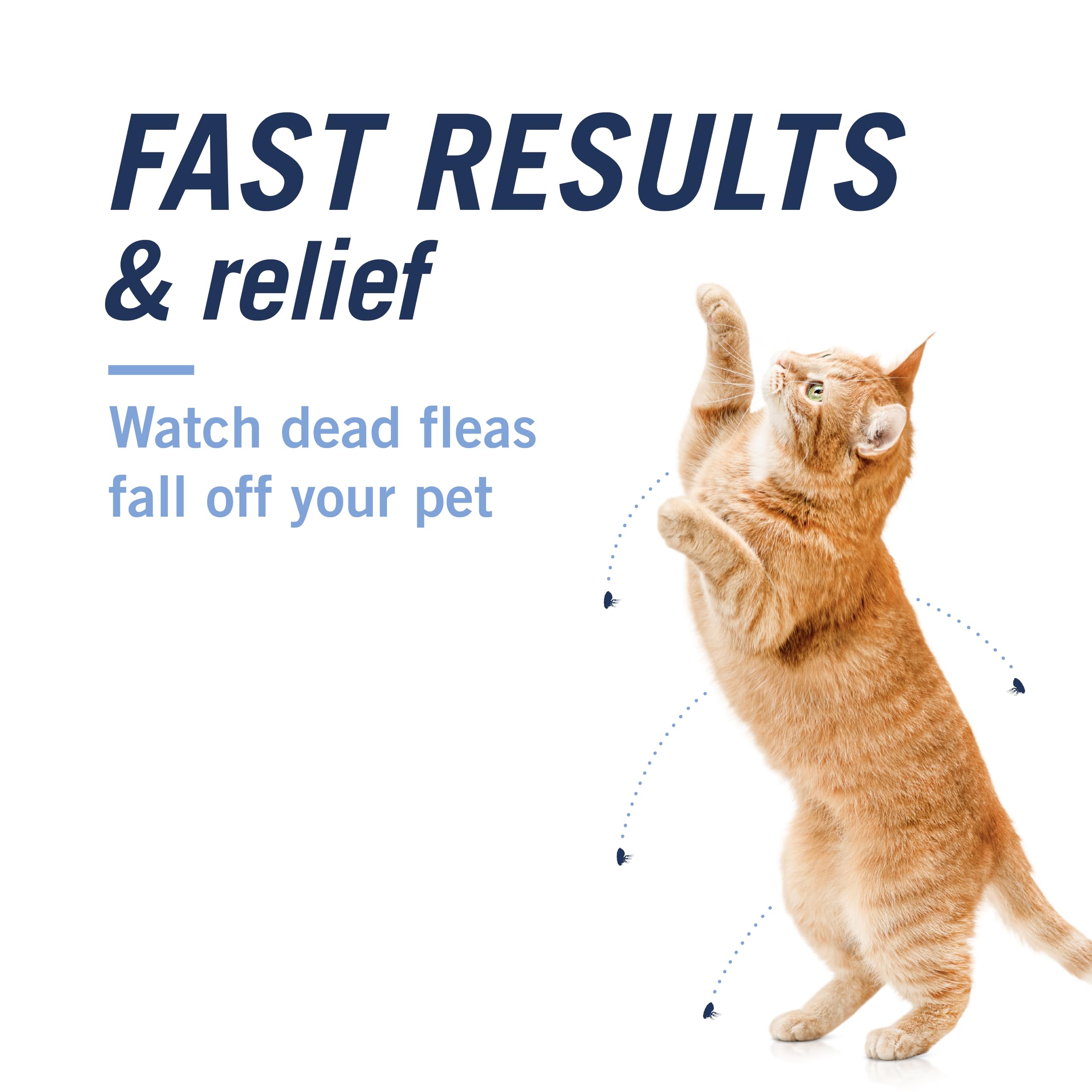 Cat side view ready to take CAPACTION tablet for quick fleas relief.