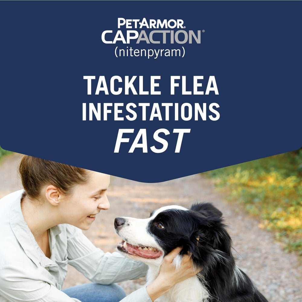 Dog ready to take CAPACTION tablet as part of flea care routine