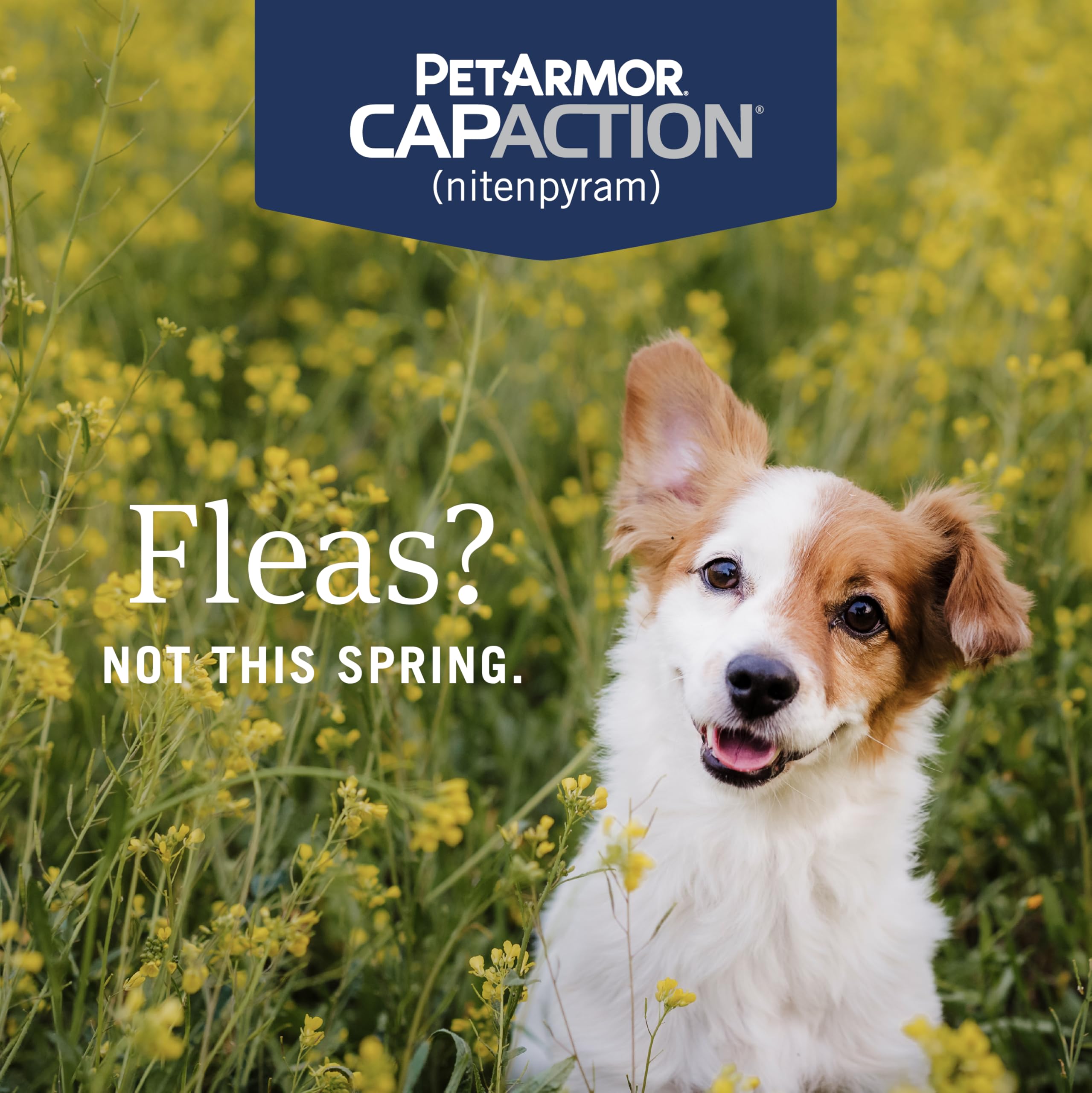 Close-up of CAPACTION tablet to highlight compact oral medicine for fleas