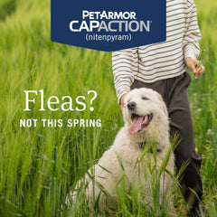 PetArmor CapAction tablet closeup, chewable fast-acting flea treatment for dogs.