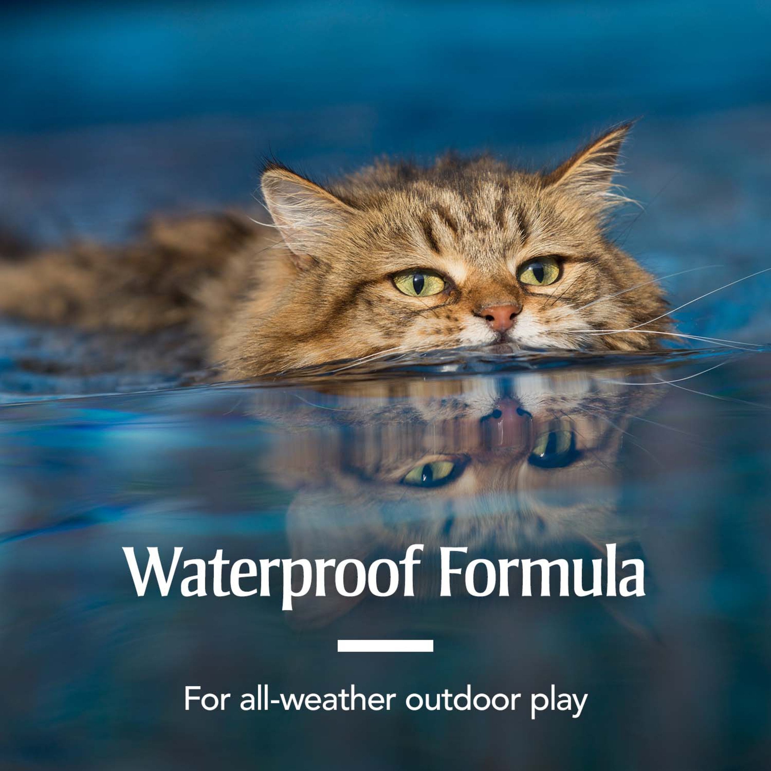 PetArmor chat: application sur le dos entre les omoplates.