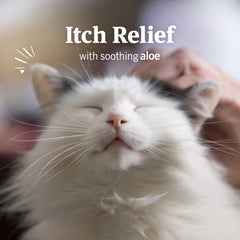 PetArmor Ear Mite Treatment on a relaxed cat ear with potential itch relief