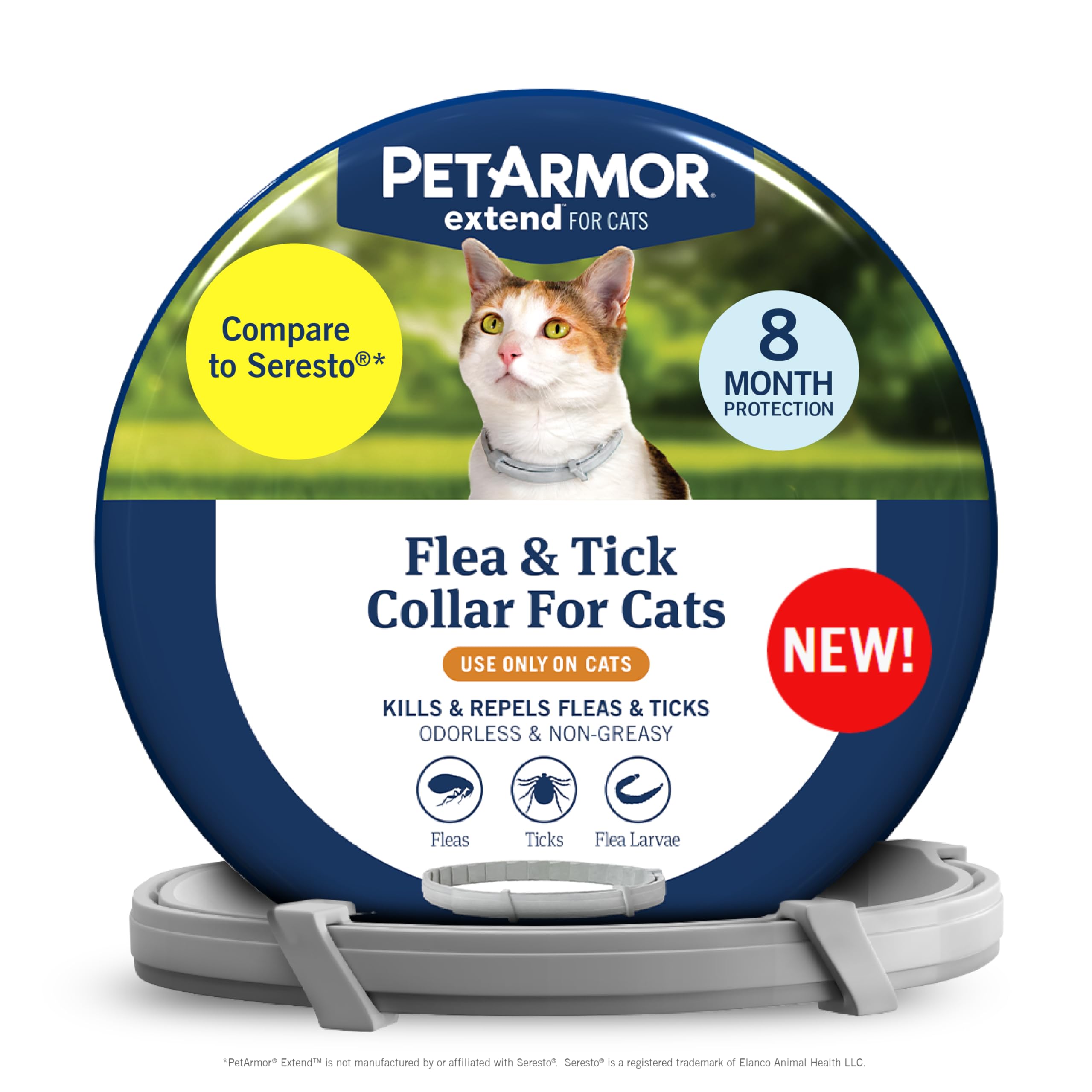 PetArmor Extend cat collar on a cat providing flea and tick protection.