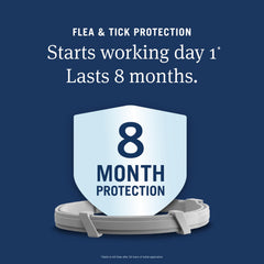 PetArmor Extend collar displayed for eight months of protection for small dogs