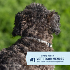 Close up of PetArmor Extend collar odorless and non greasy on coat