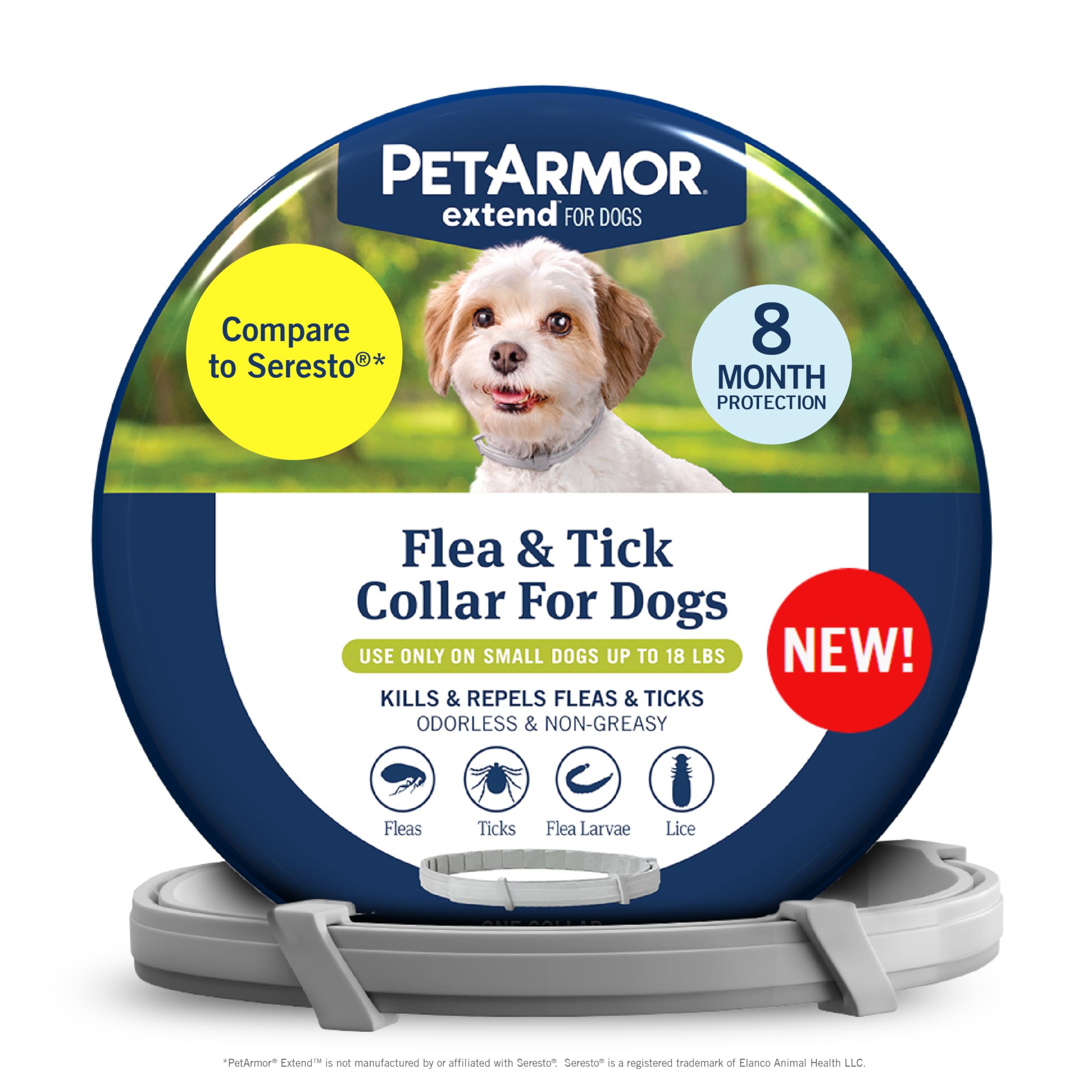 PetArmor Extend collar on a small dog neck showing long lasting flea and tick protection