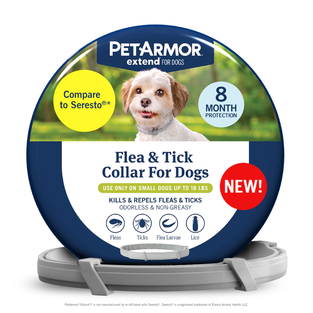 PetArmor Extend collar on a small dog neck showing long lasting flea and tick protection