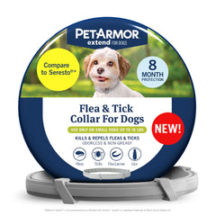 PetArmor Extend collar on a small dog neck showing long lasting flea and tick protection