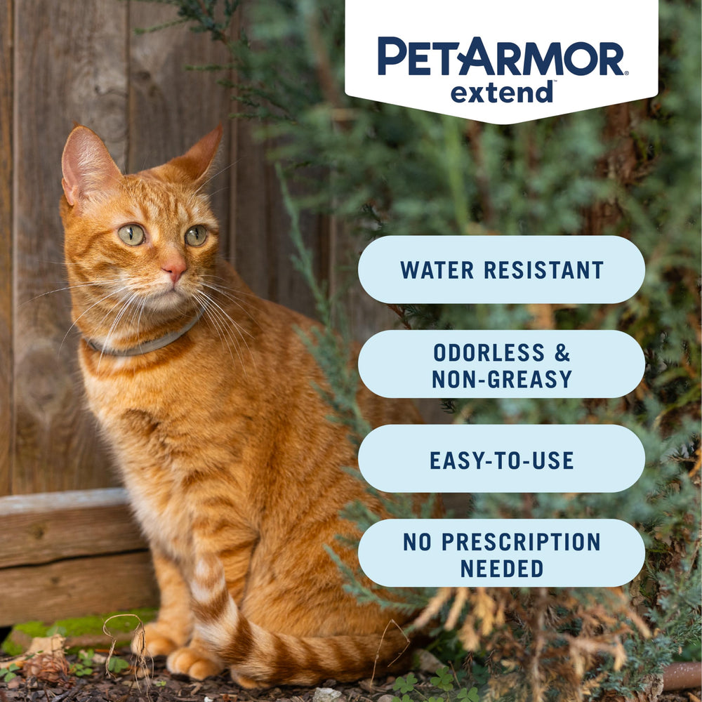 PetArmor Extend collar begins killing fleas within 24 hours.
