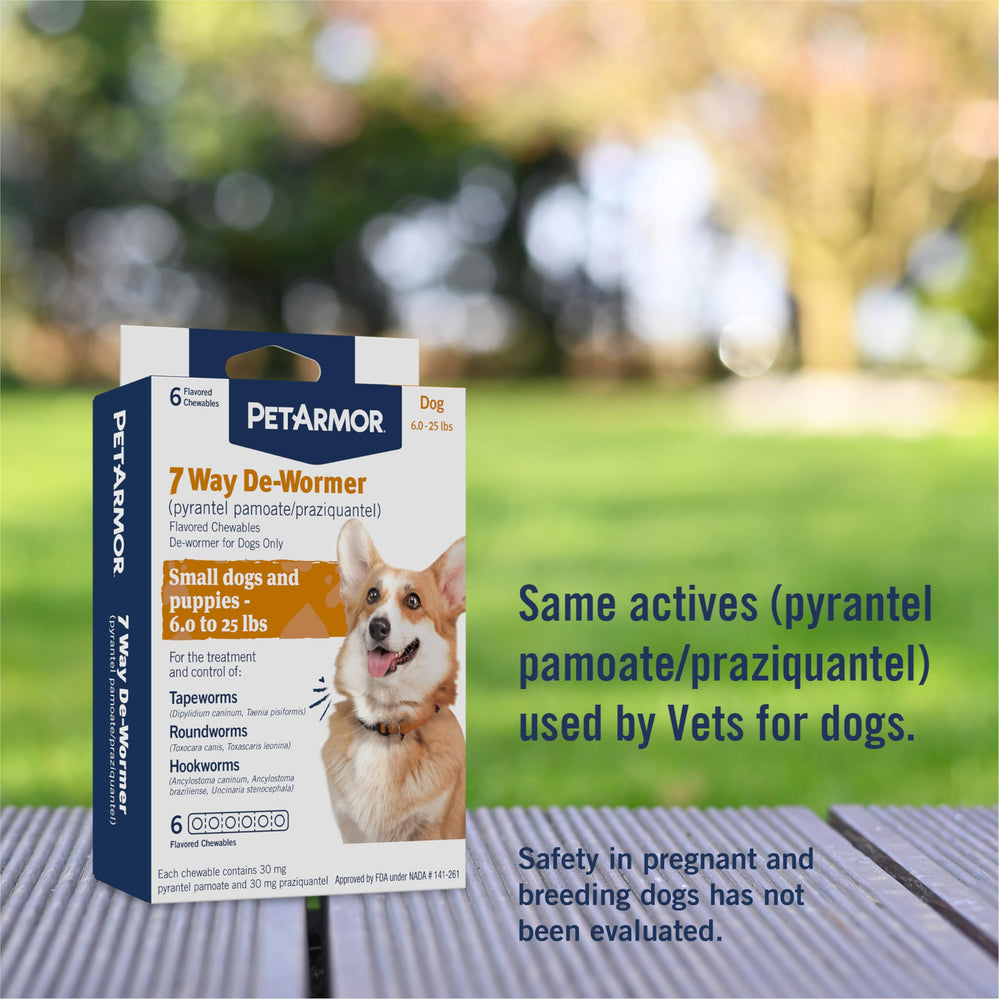 PetArmor flavored chewables shown as a treat for easy administration.