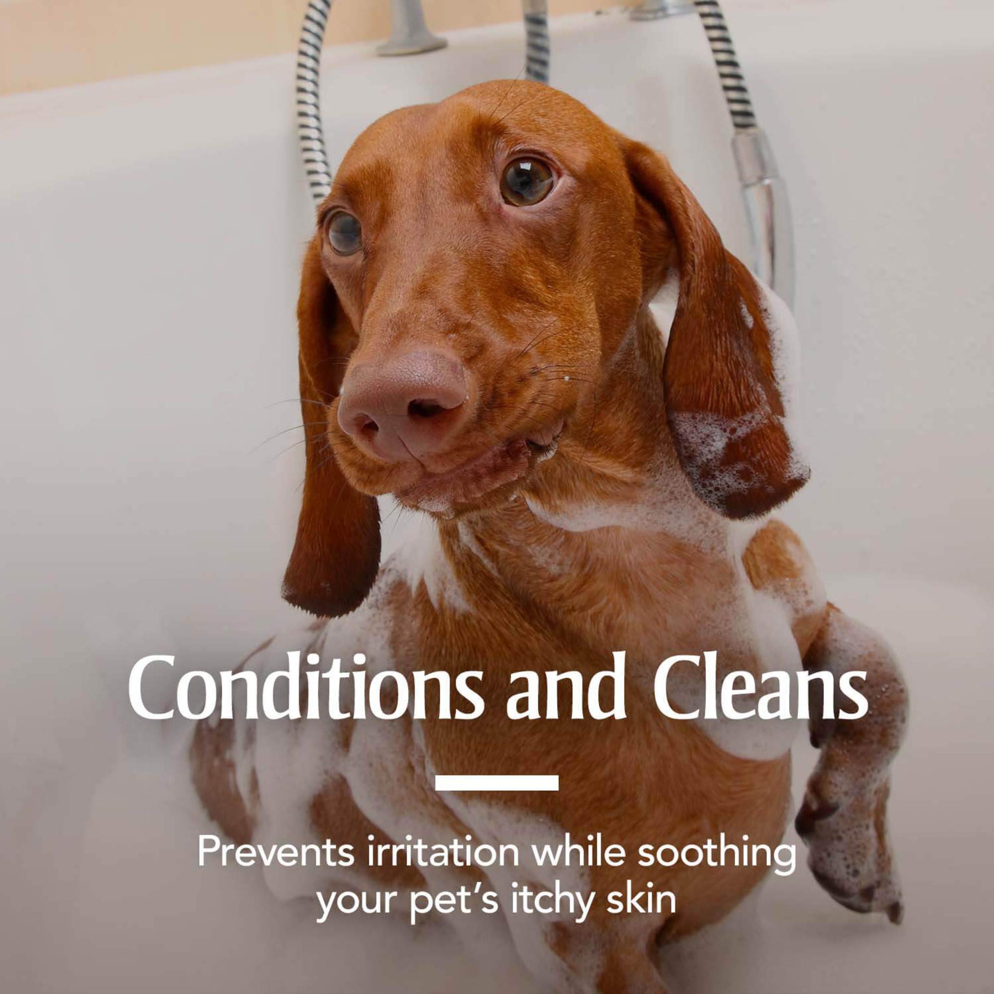 PetArmor Plus cleanses deodorizes and conditions dog coat