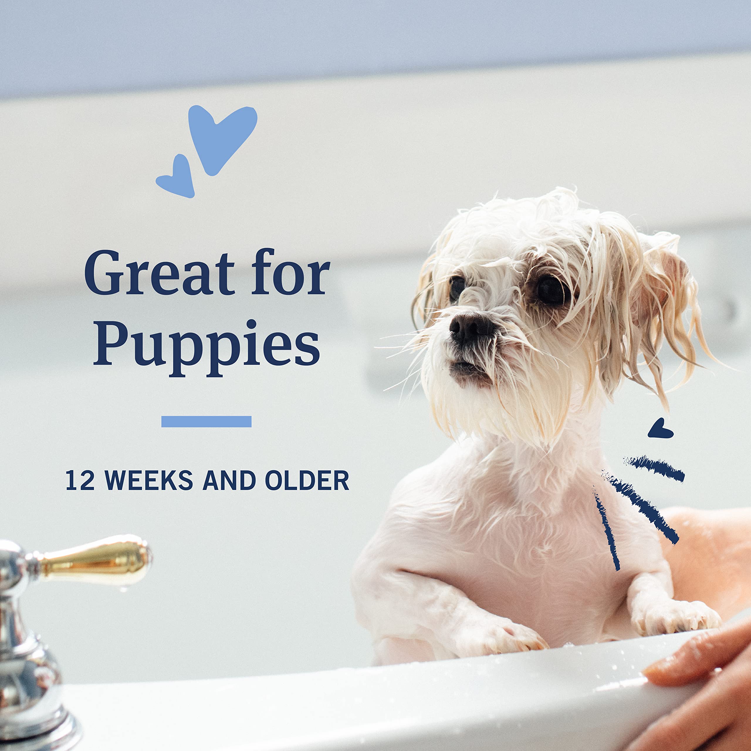 PetArmor Plus dog coat after wash feels soft and manageable
