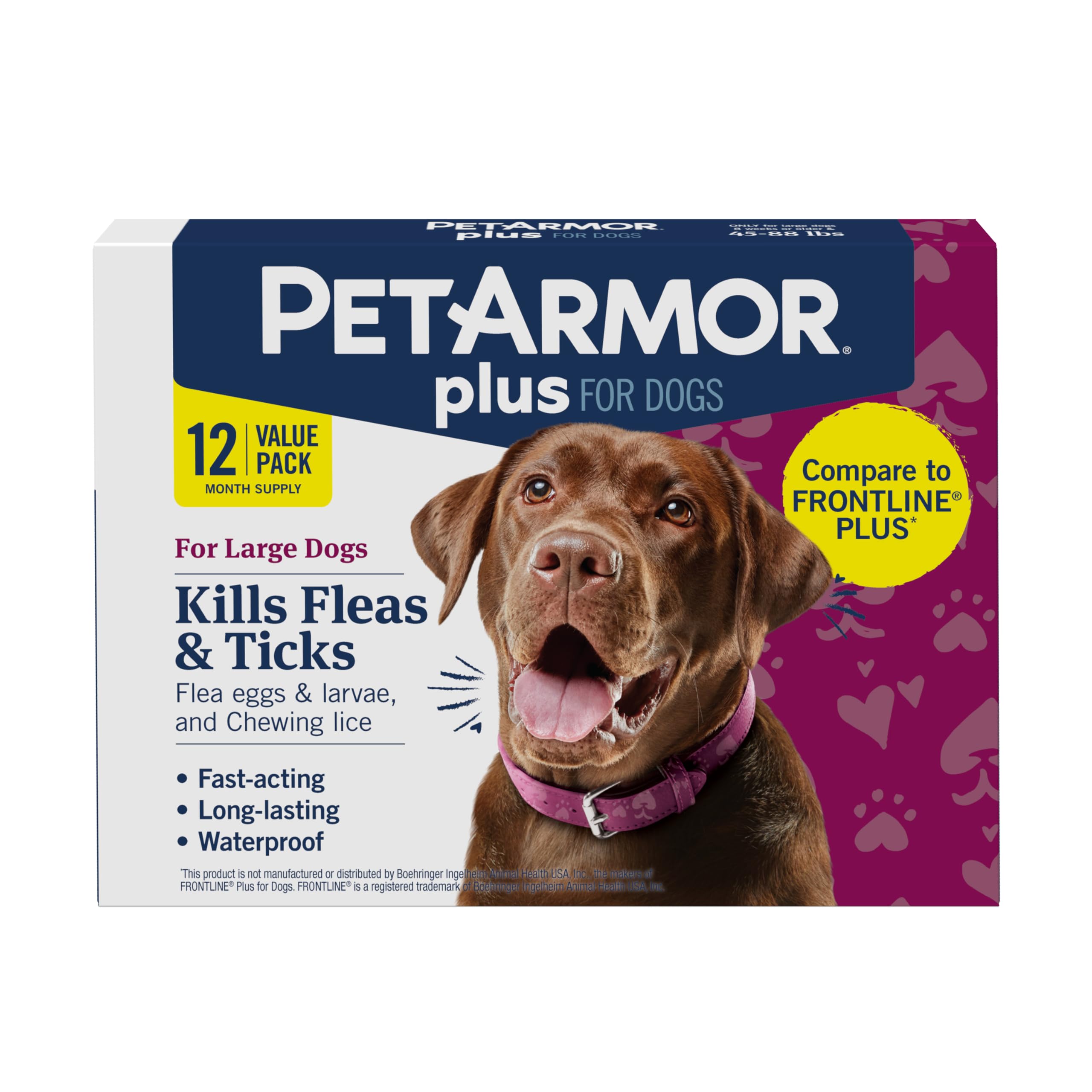 PetArmor Plus large dog packaging showing 12-dose bundle for flea and tick protection.