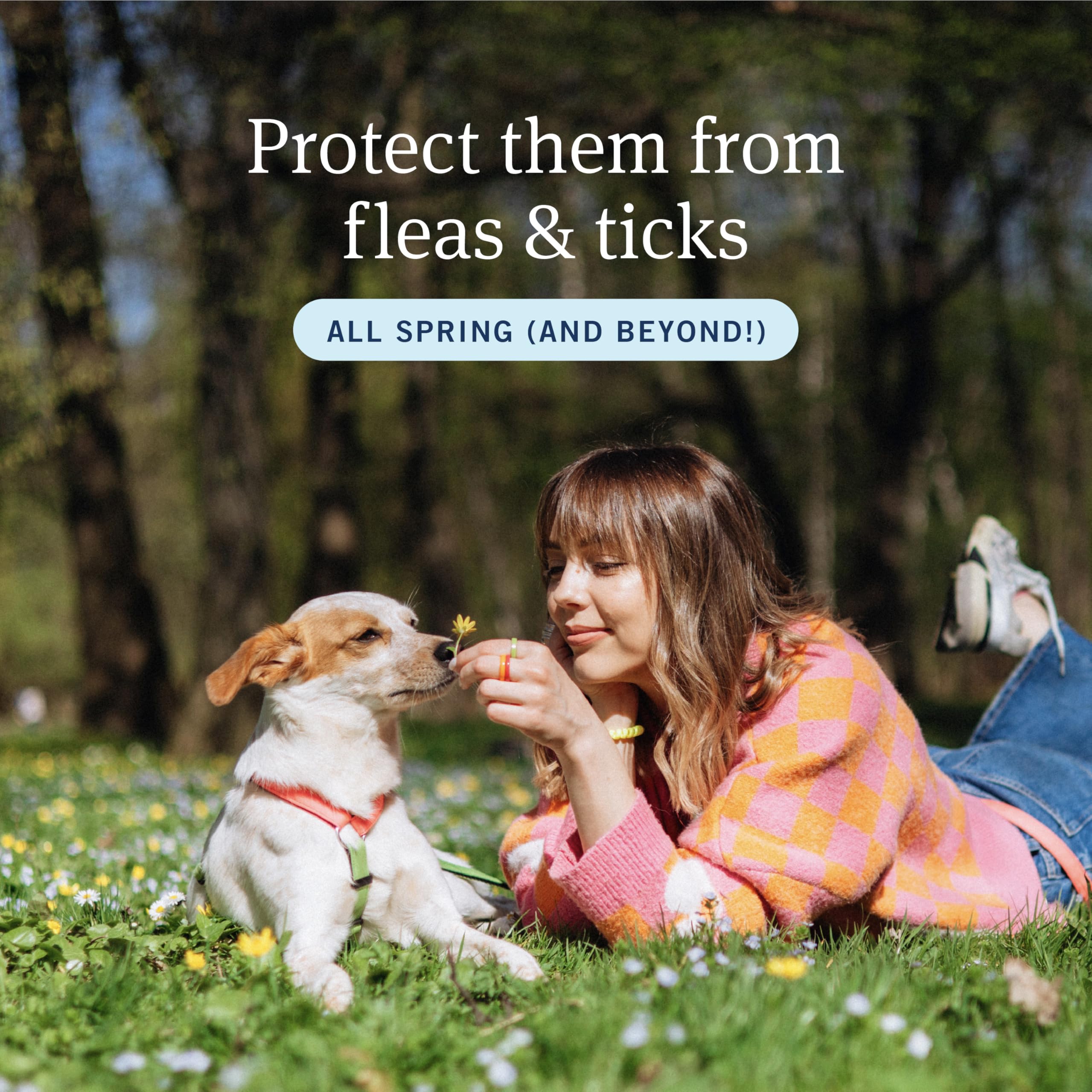 PetArmor Plus small dog applicator tip for precise, mess-free dosing.