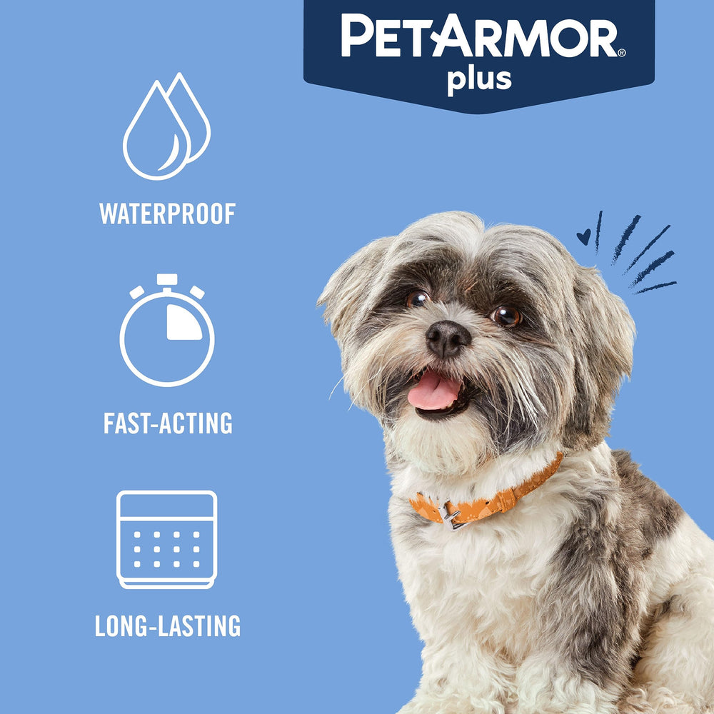 PetArmor Plus fast-acting protection within 24 hours after application.
