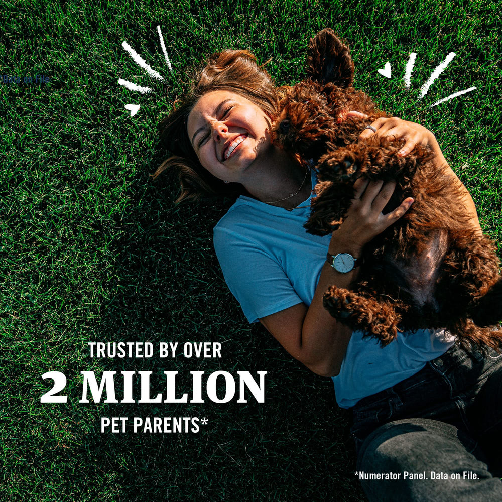 PetArmor Plus keeps fleas at bay during outdoor play.