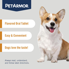 PetArmor dosing for 12–25 lbs dogs; two chewables ready.