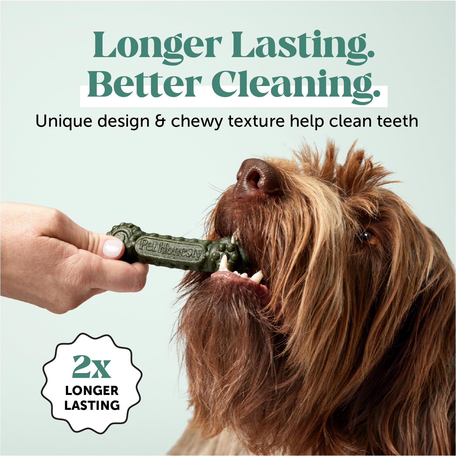 Pet Honesty Brush Buddies breath freshener for dogs with mint and parsley
