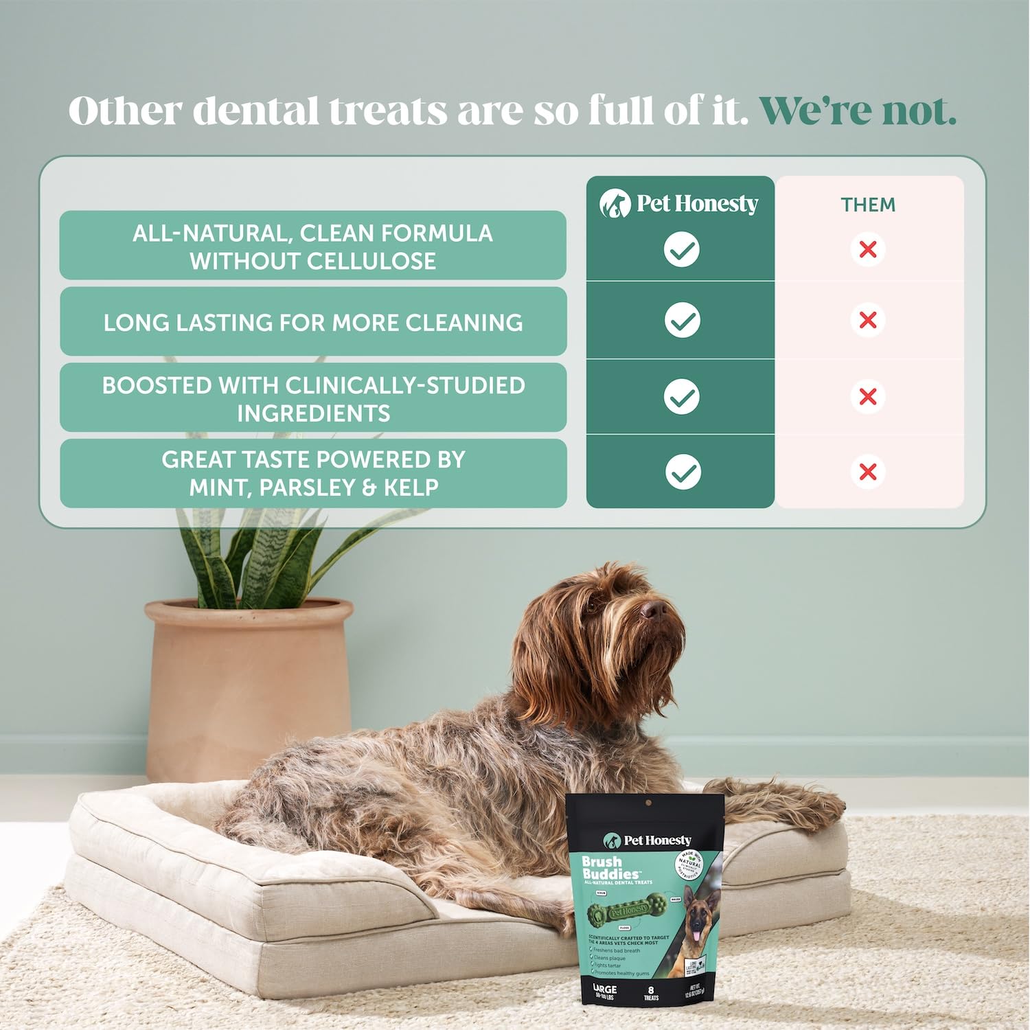 Pet Honesty Brush Buddies tartar control chew for dogs