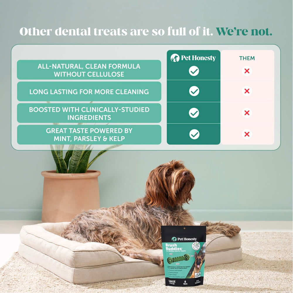 Pet Honesty Brush Buddies tartar control chew for dogs