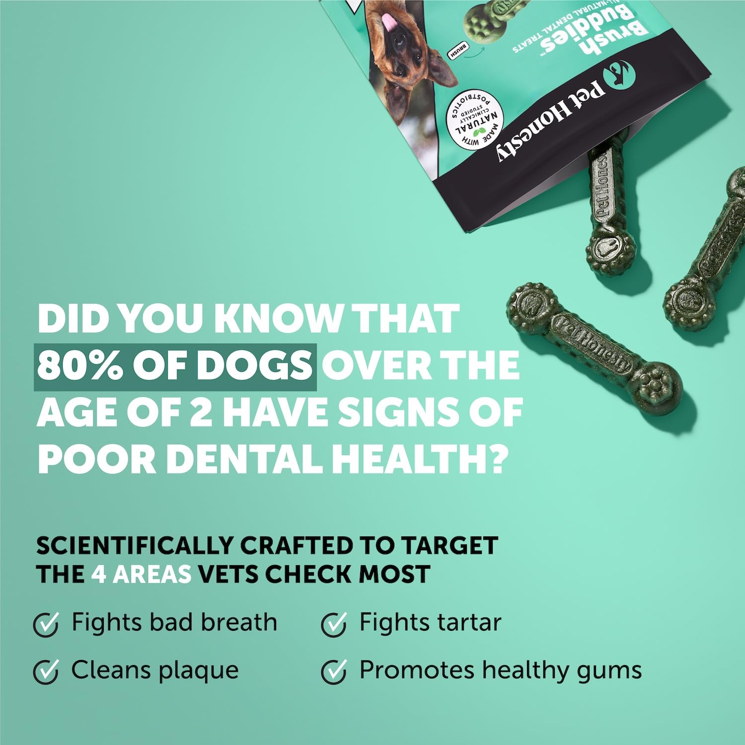 Pet Honesty Brush Buddies teeth cleaner for dogs promoting cleaner teeth