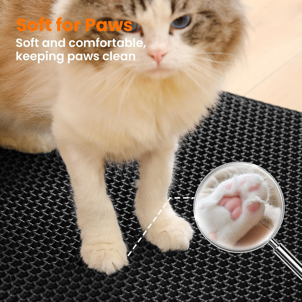 Petinstinct easy-clean-rinse demonstrates quick maintenance.