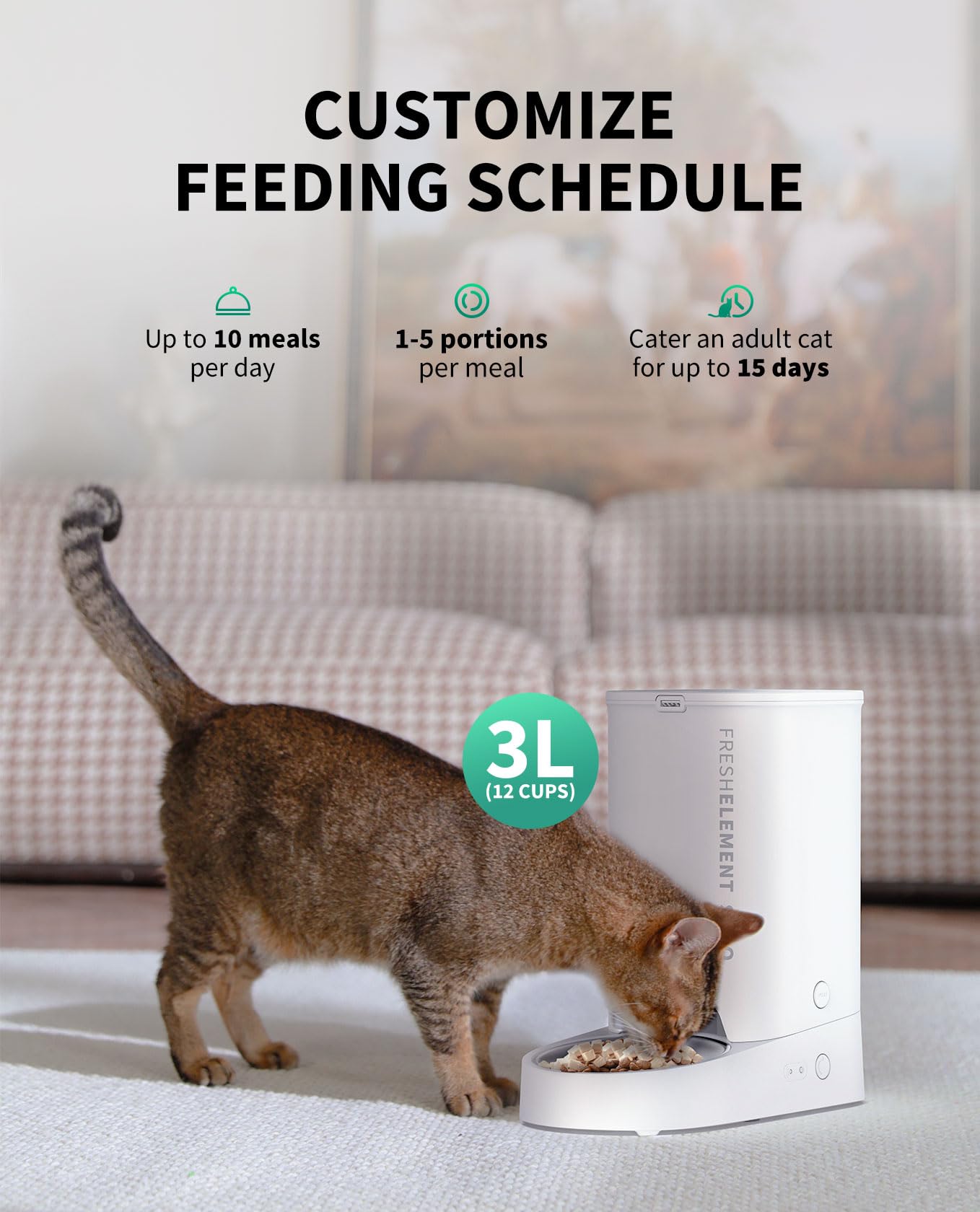 PETKIT automatic feeder app control—remote feeding from your phone.