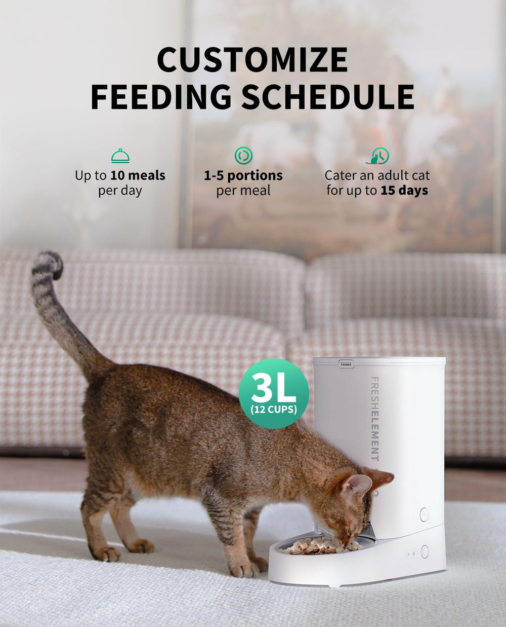 PETKIT automatic feeder app control—remote feeding from your phone.