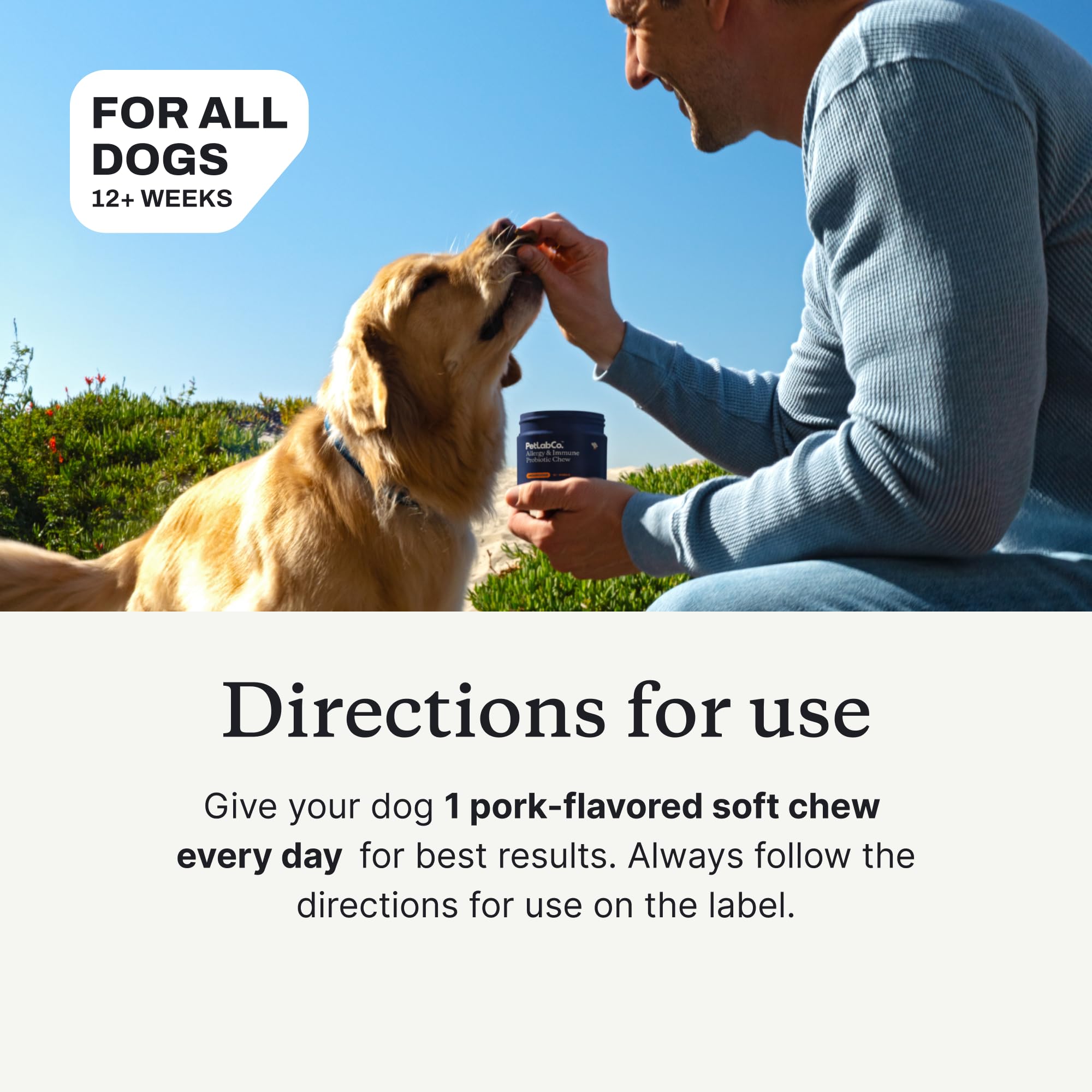 PetLab Co Allergy & Immune Daily Probiotics for Dogs — daily treat on kitchen counter