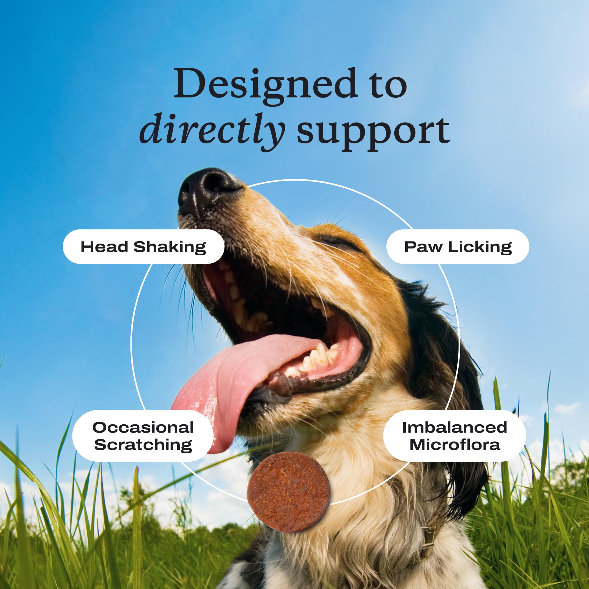 PetLab Co. Allergy & Immune Probiotics for Dogs — Pork Flavor Soft Chews (3-Pack, 30 Chews Each) - Perla Store | The Ultimate A to Z Marketplace for Every Need in Canada